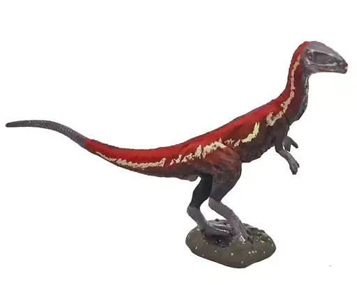 2025年最新】コエロフィシスの人気アイテム - メルカリ