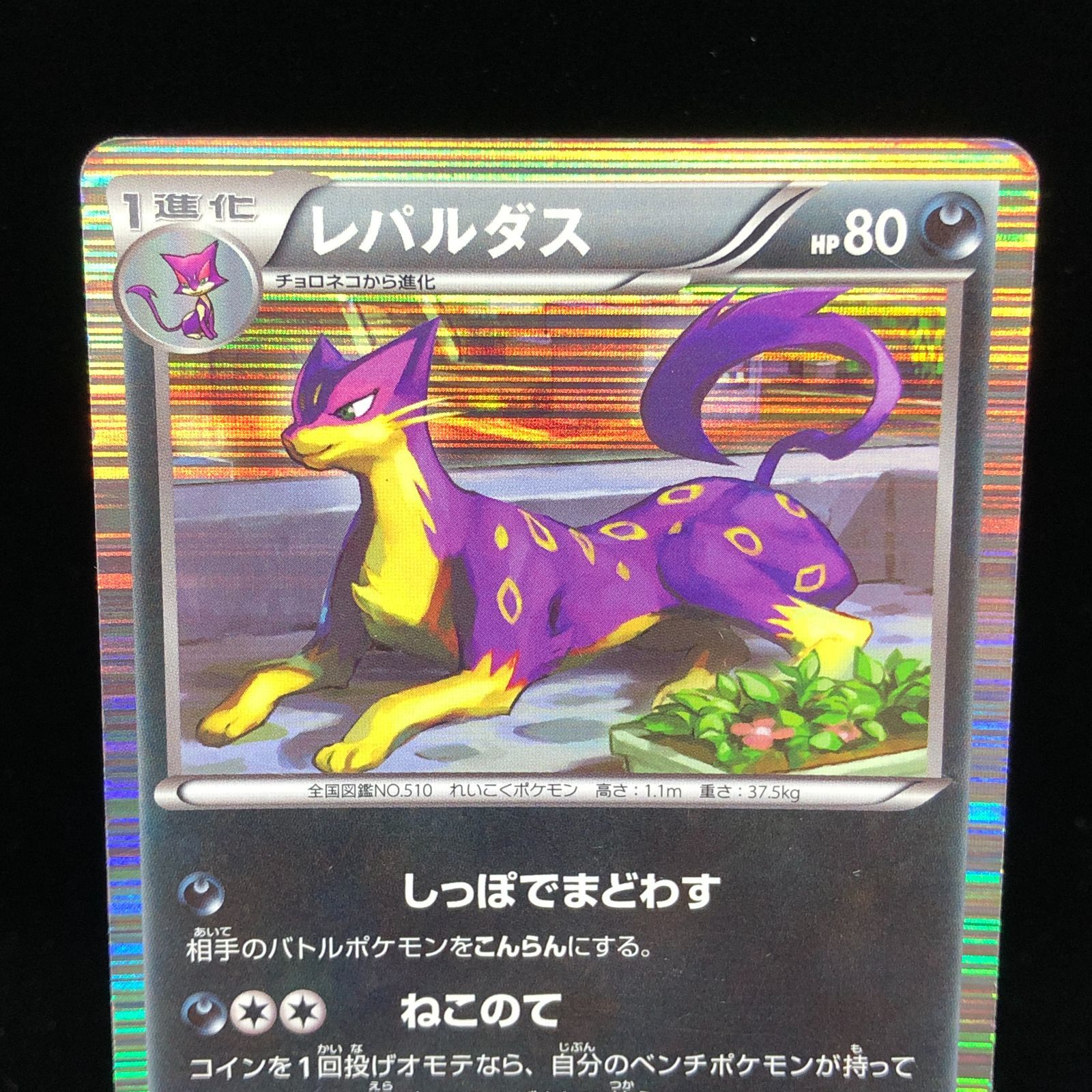 送料無料】 ポケモンカード レパルダス ねこのて BW6 - メルカリ