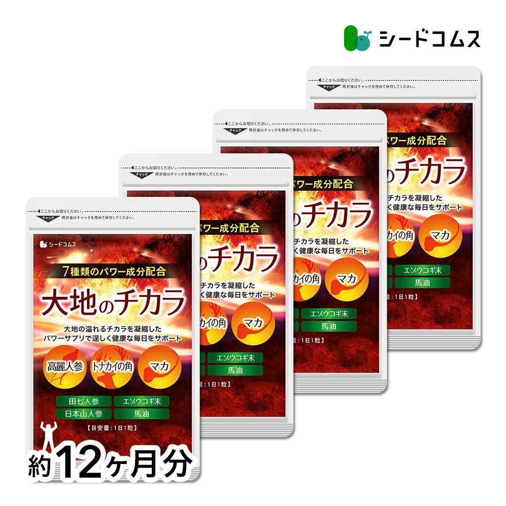 J1110＃阿尔缇妮斯(贝壳光)幺幺零切り売り海外人物マステ女の子 【公式