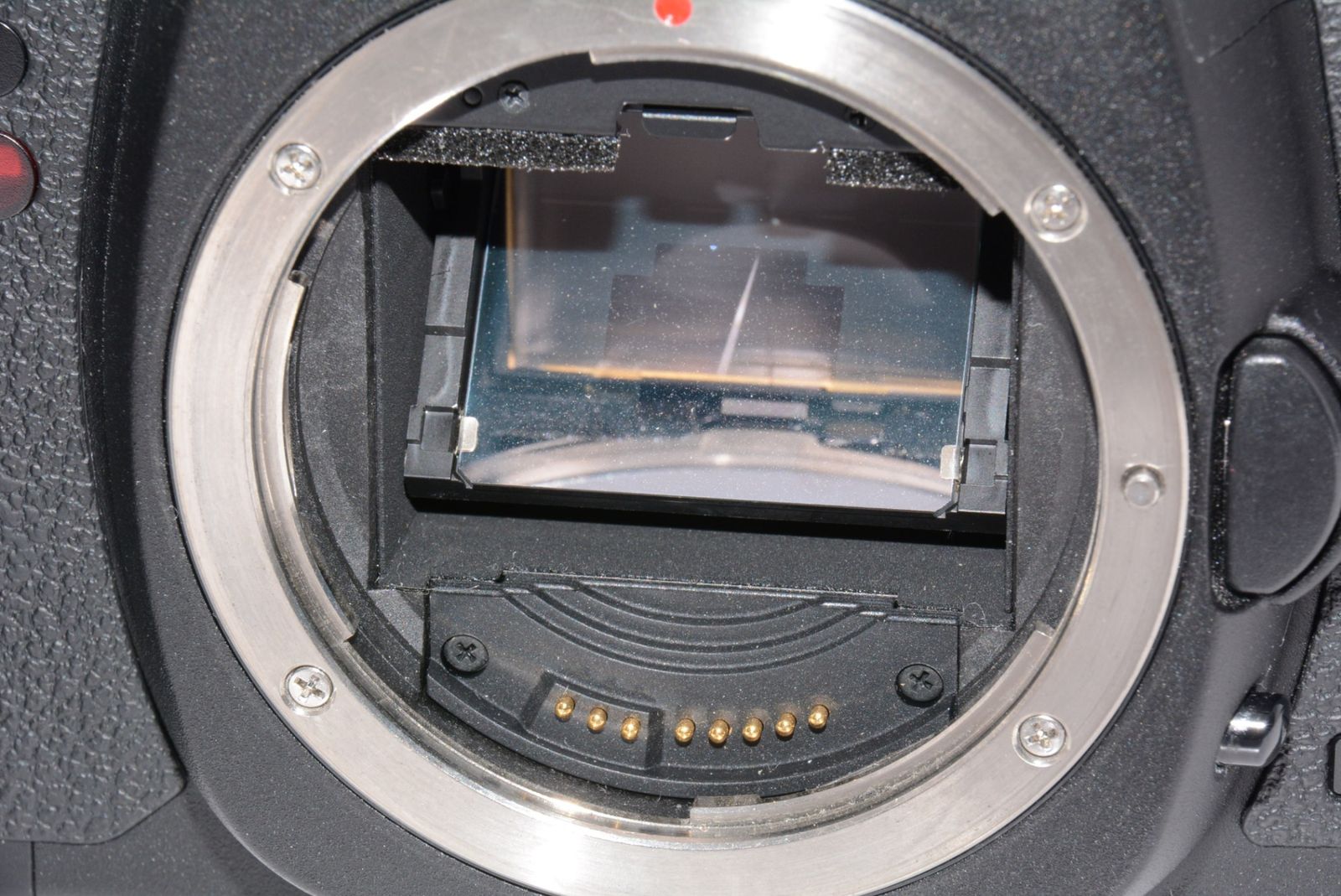 5D