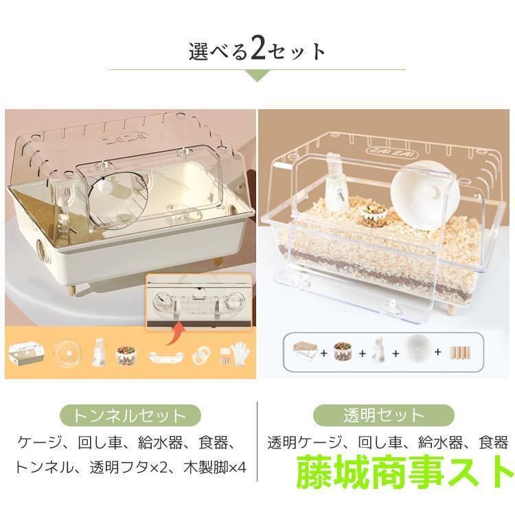 ハリネズミ うずら