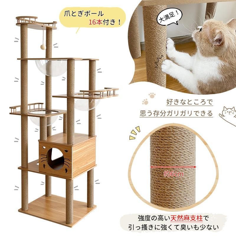 展望台 猫ハウス