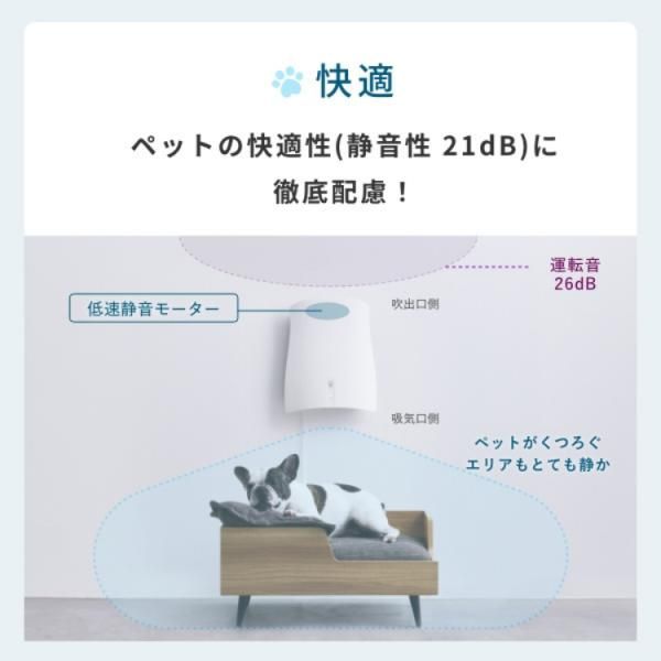 QAIS-air-04A1J サンスター