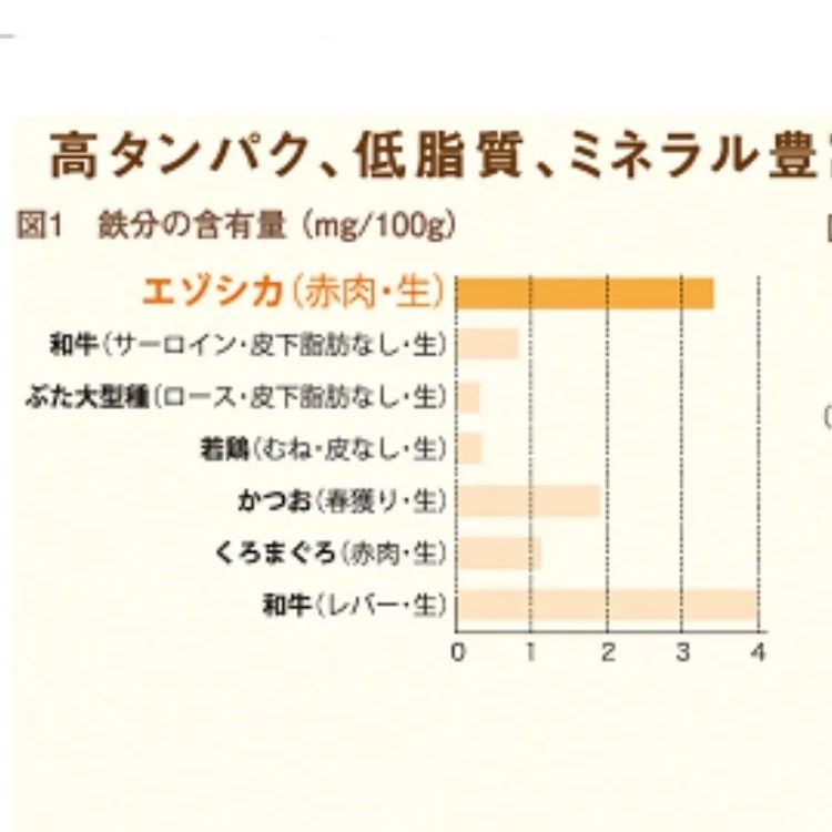 無添加 ドッグフード