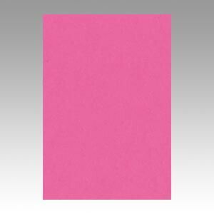 リンテック ニュー Ｒ 8 NCR 232 こいもも