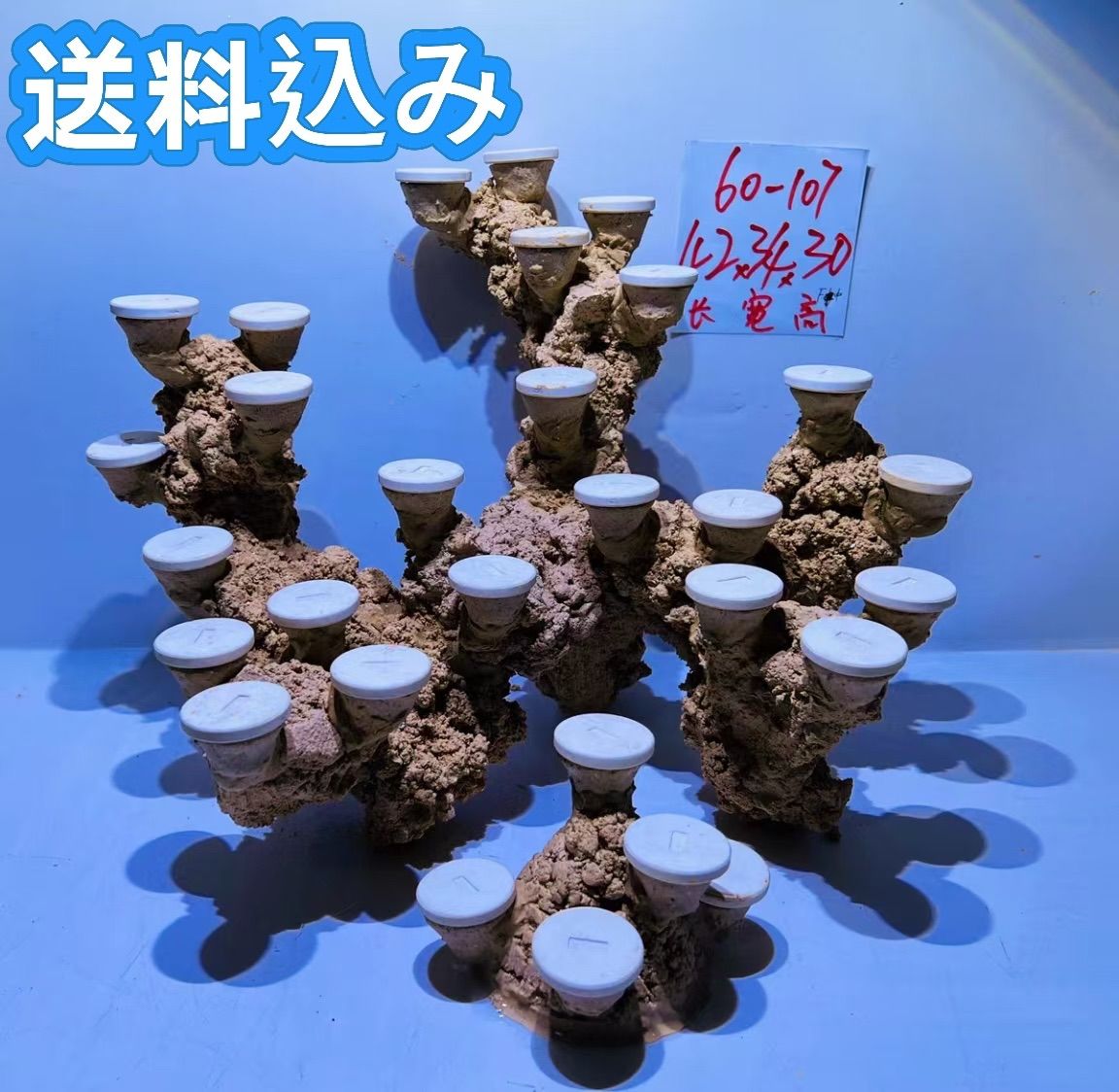 多孔質人工ライブロックセット（海水魚、サンゴ、バクテリア、背景、レイアウト、水槽）海外受注 27,300円