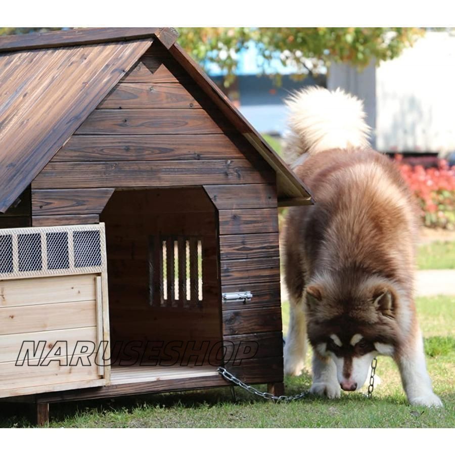 中型犬 大型犬