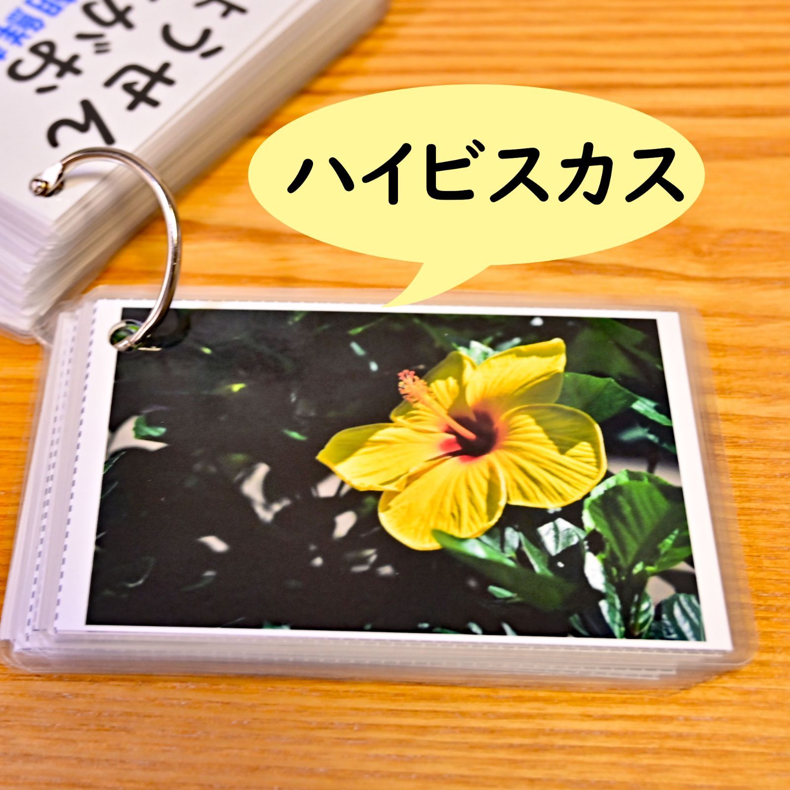 季節の花カード Part2 四季の学習に 小学校受験に - メルカリ