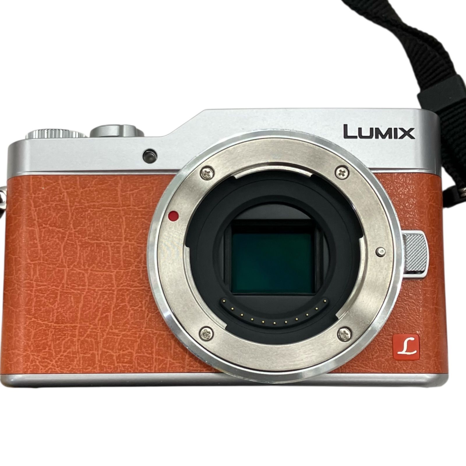 Panasonic DC-GF9W