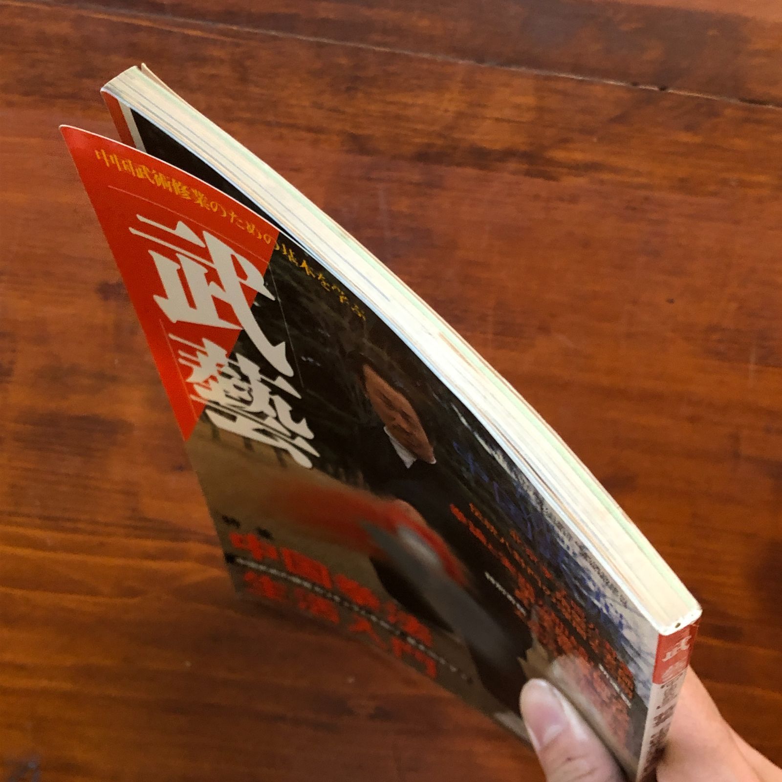 武藝 中国武術 特集中国拳法生活入門 真・太極拳教伝 平成10年 ☆八卦