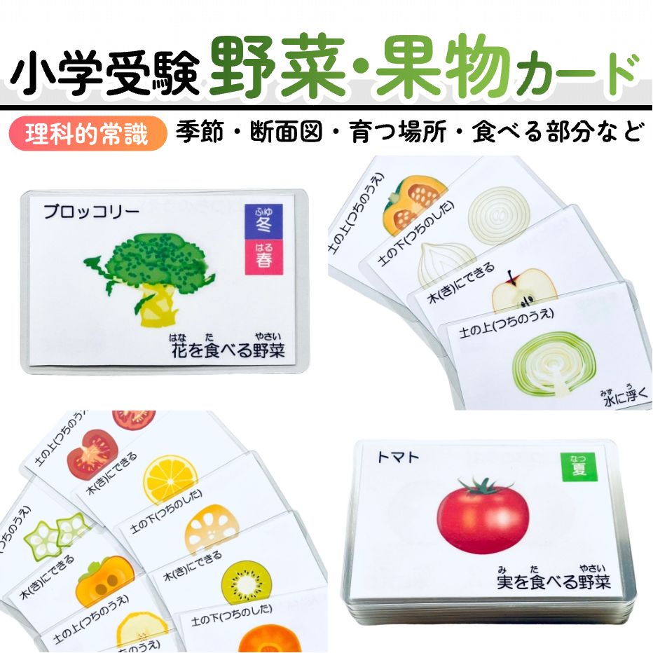 野菜・果物カード 小学校受験教材 理科的常識 幼児教育 知育 断面図 旬の季節 - メルカリ