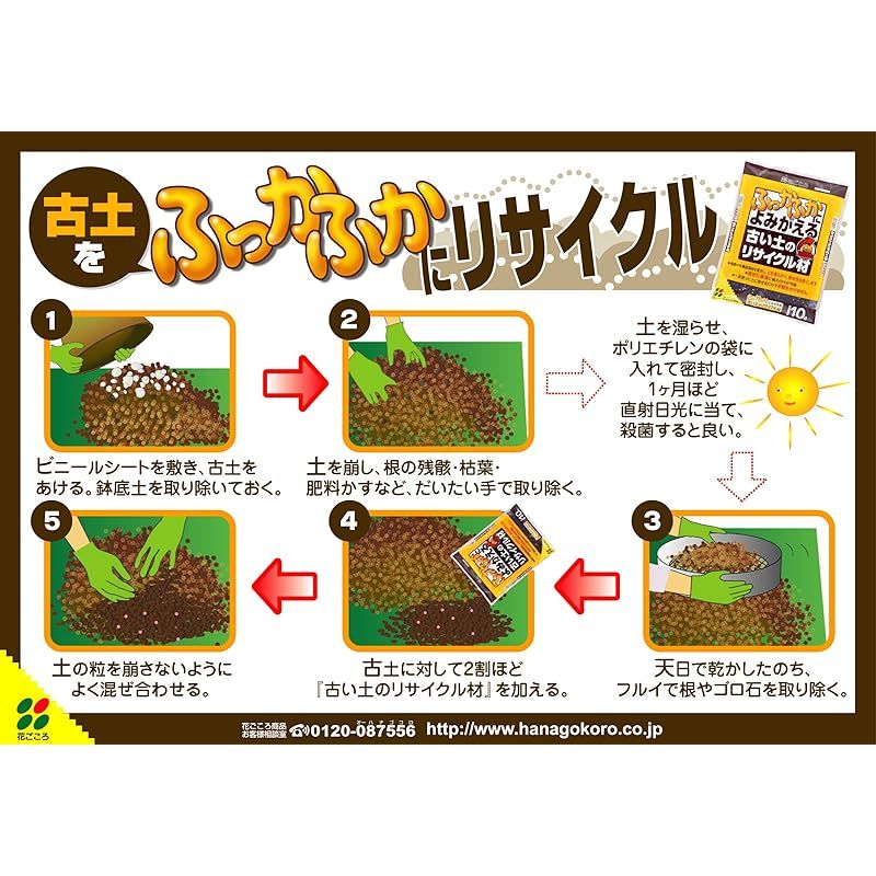 花ごころ