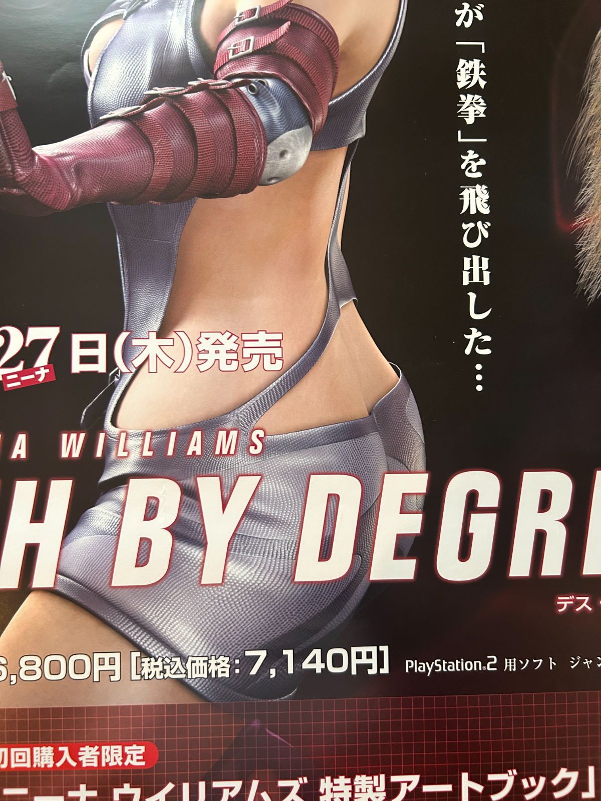 デス バイ ディグリーズ 鉄拳：ニーナ ウイリアムズ（Death by Degrees
