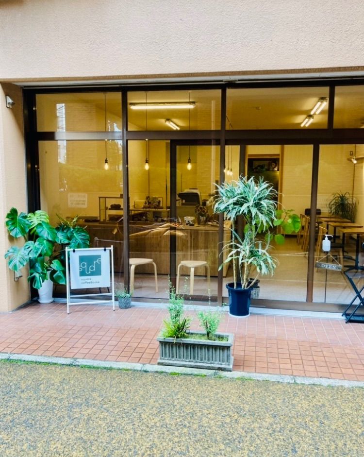 《スコーンあれこれセット》スコーン4個　グラノーラ•はしっこ各1袋-7
