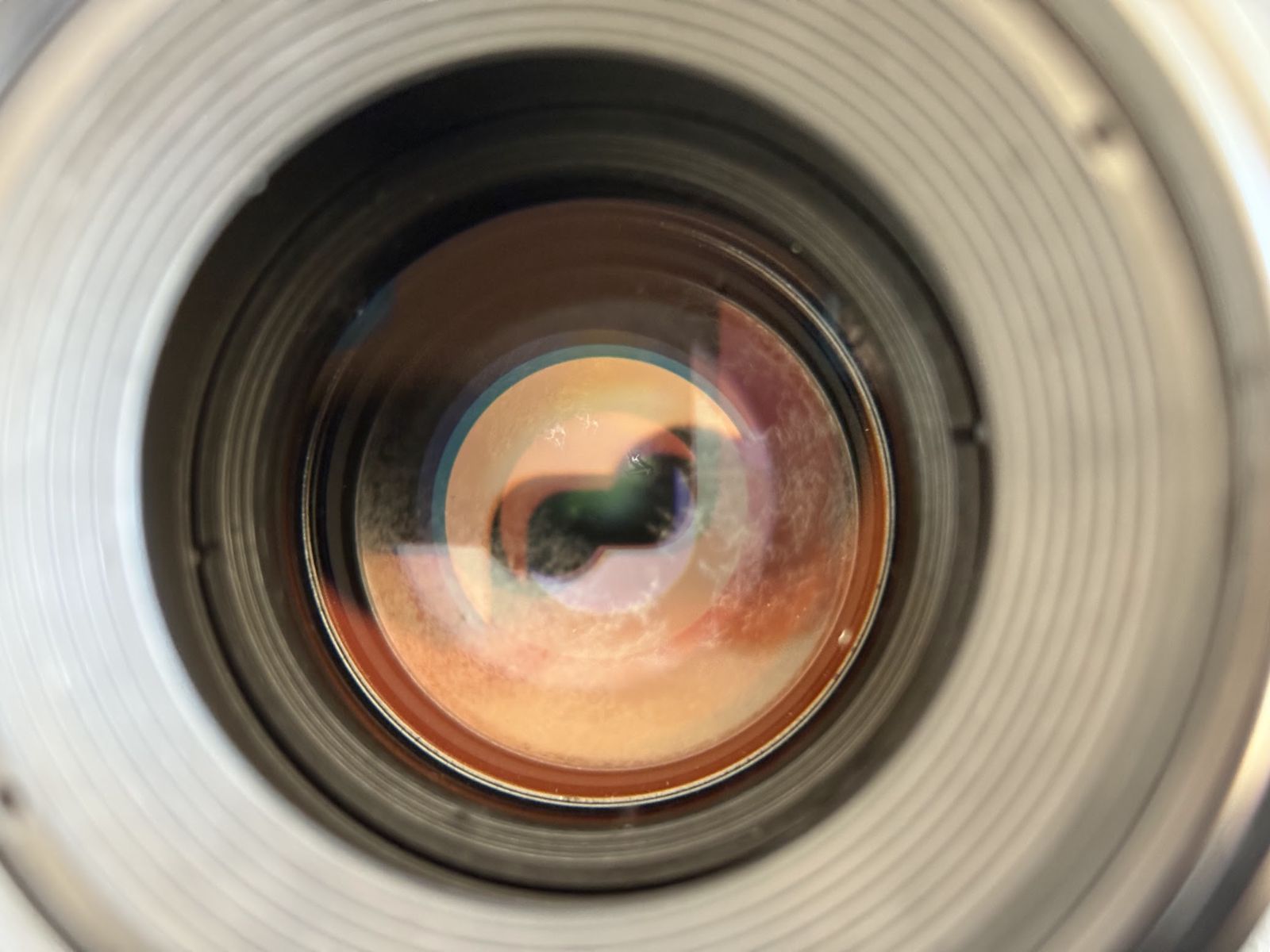 公式 Canon Macro 100mm f/2.8 キヤノン EFレンズ Canon EF 100mm f