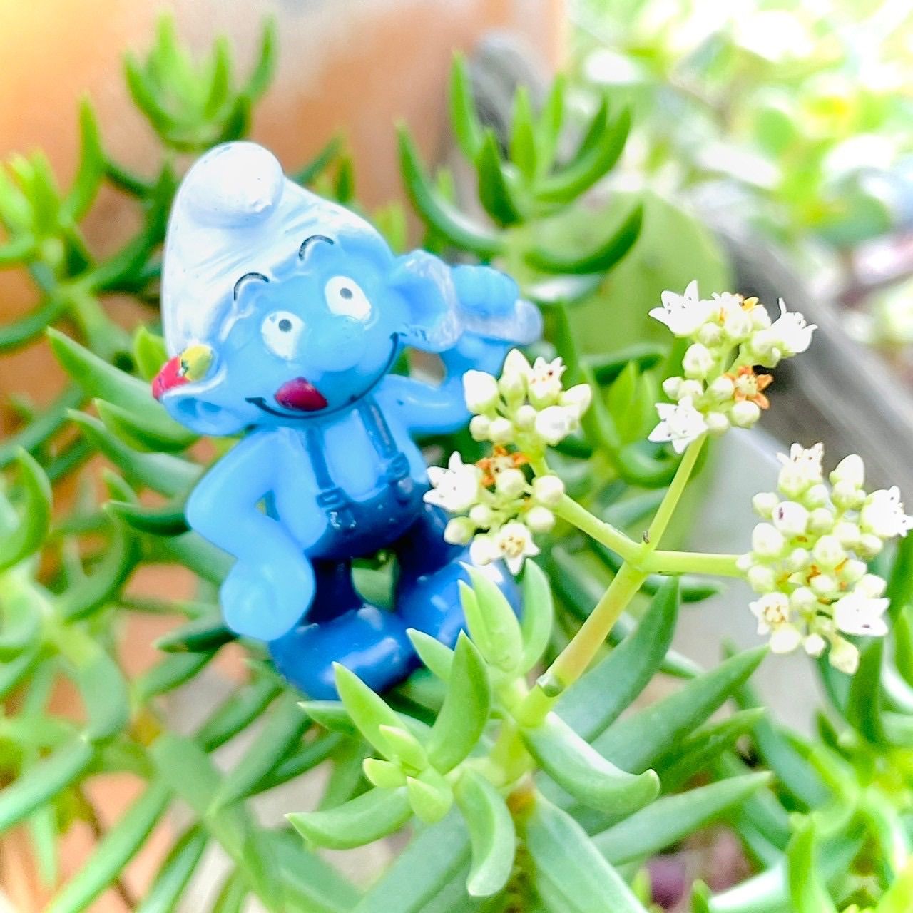 新品 🇺🇸【早い者勝ち】Smurf PVC FIGURE 8pSet スマーフ PVC