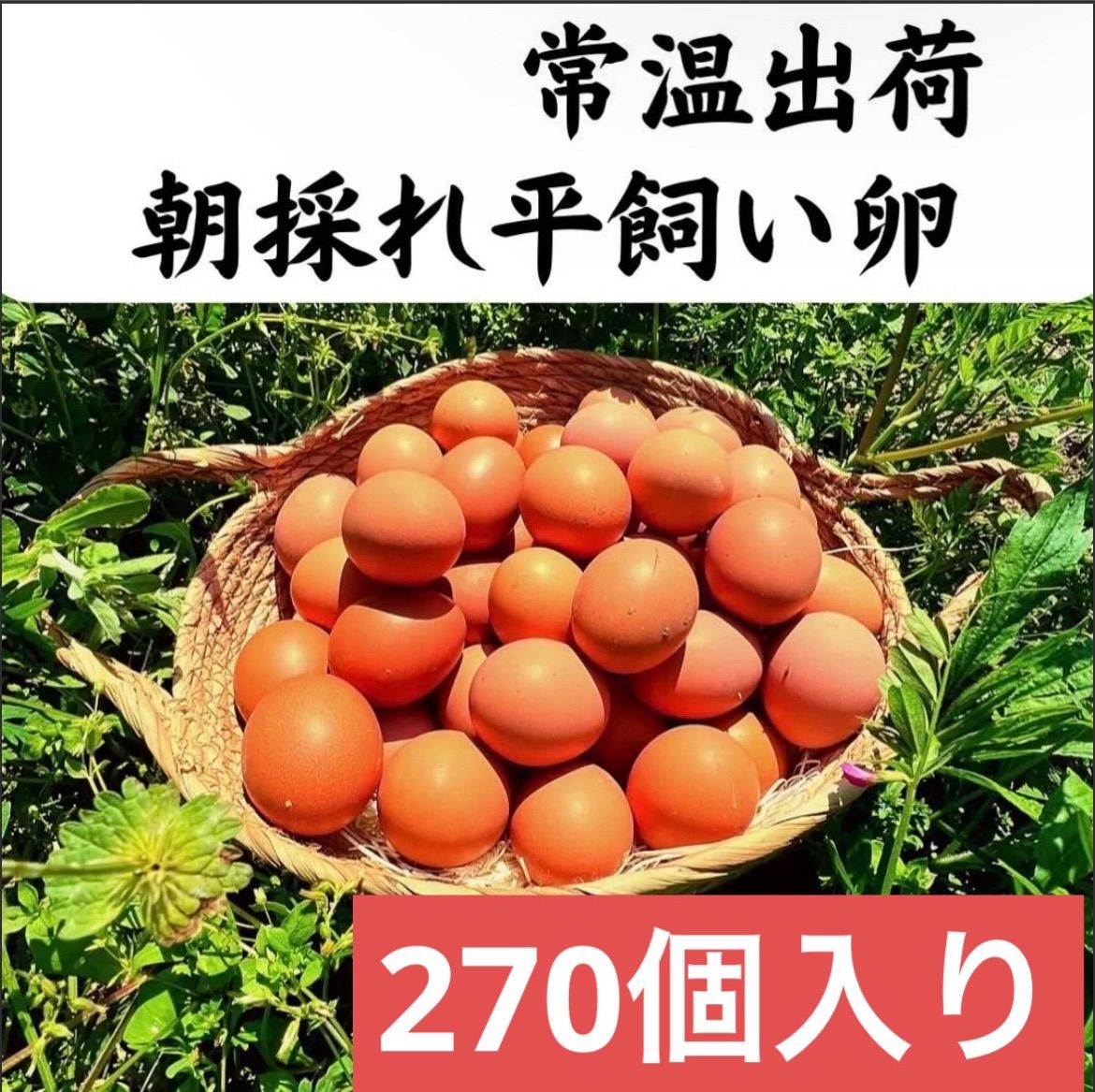 270個入り　佐伯養鶏の朝採れ平飼い卵 270個入り 佐伯養鶏の朝採れ平飼い卵 - メルカリ