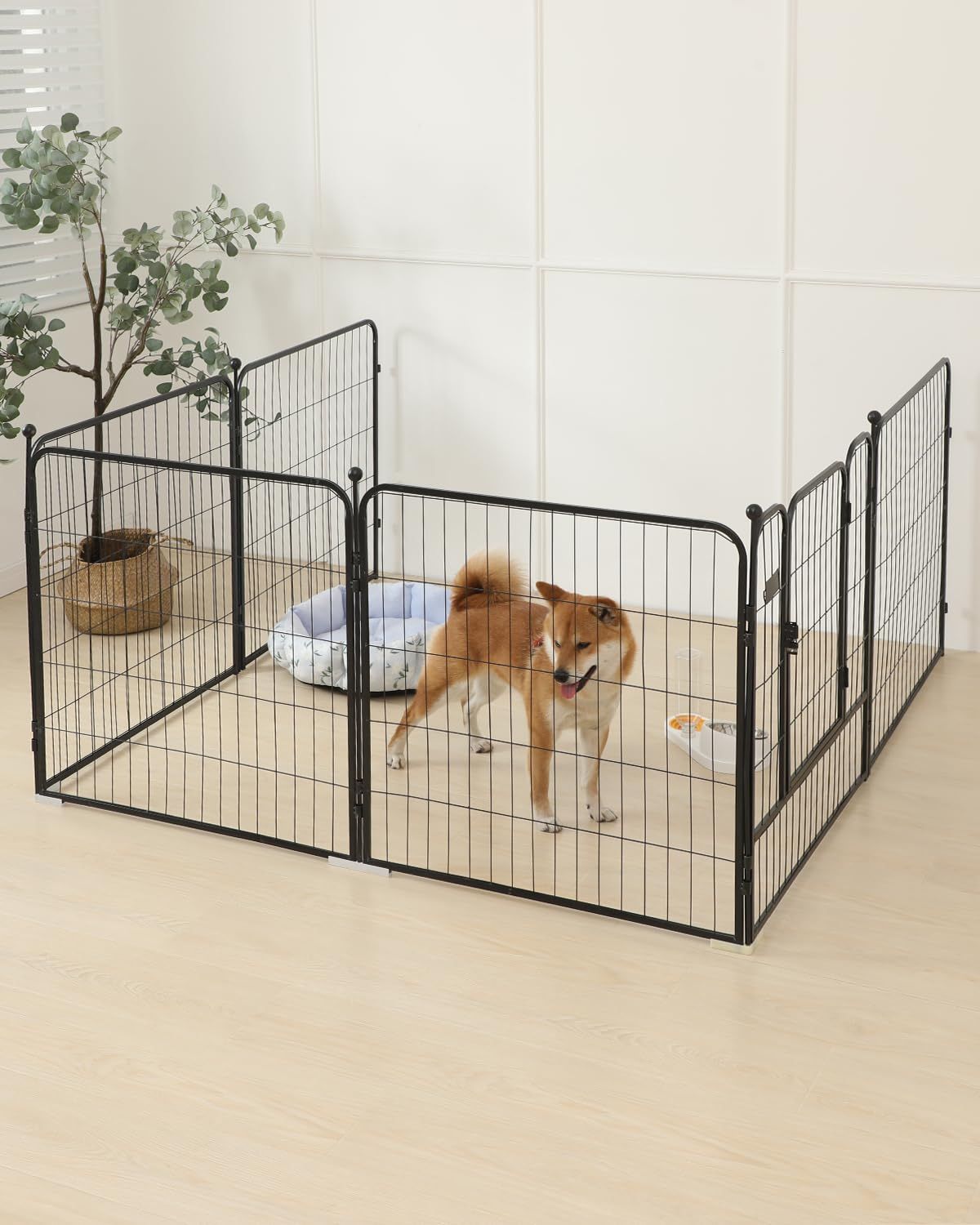 大型犬 8面