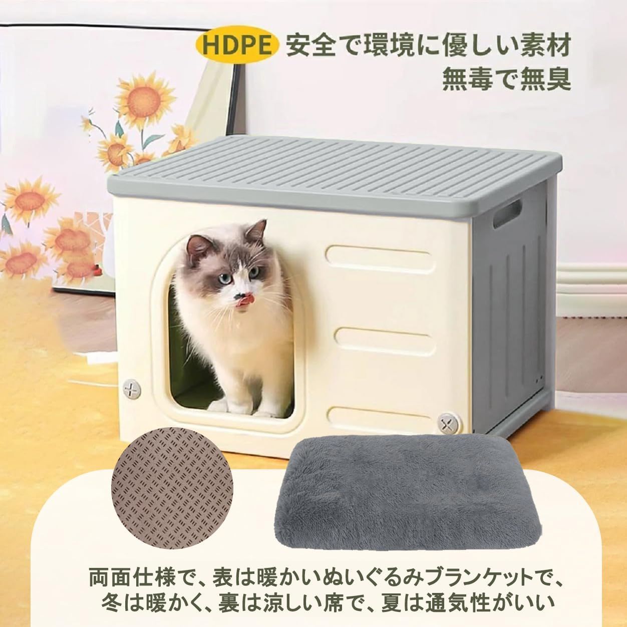 ハウス