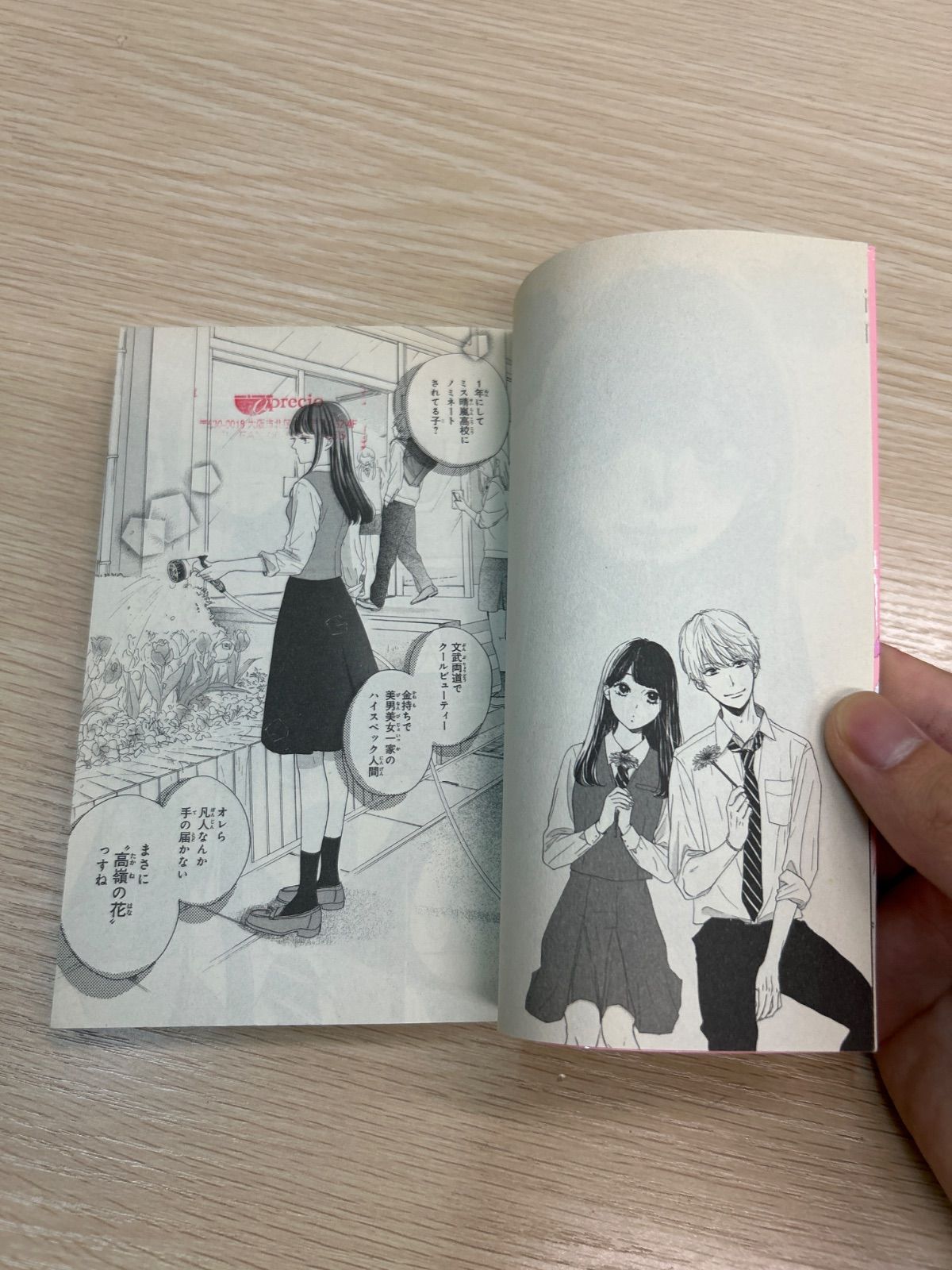 【即購入禁止】高嶺の蘭さん／全巻セット／餡蜜 即購入禁止】高嶺の蘭さん／全巻セット／餡蜜