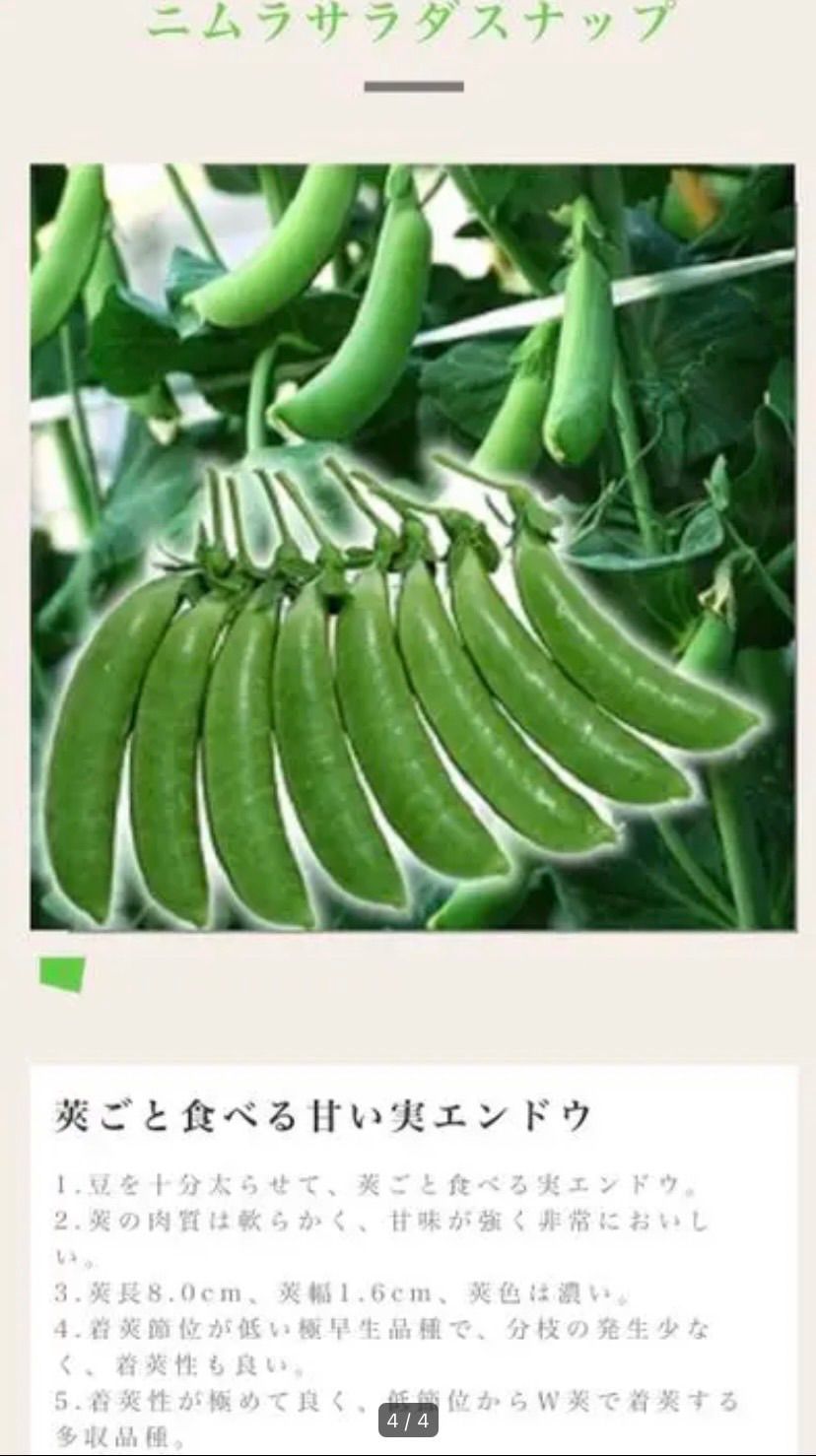 のサムネイル