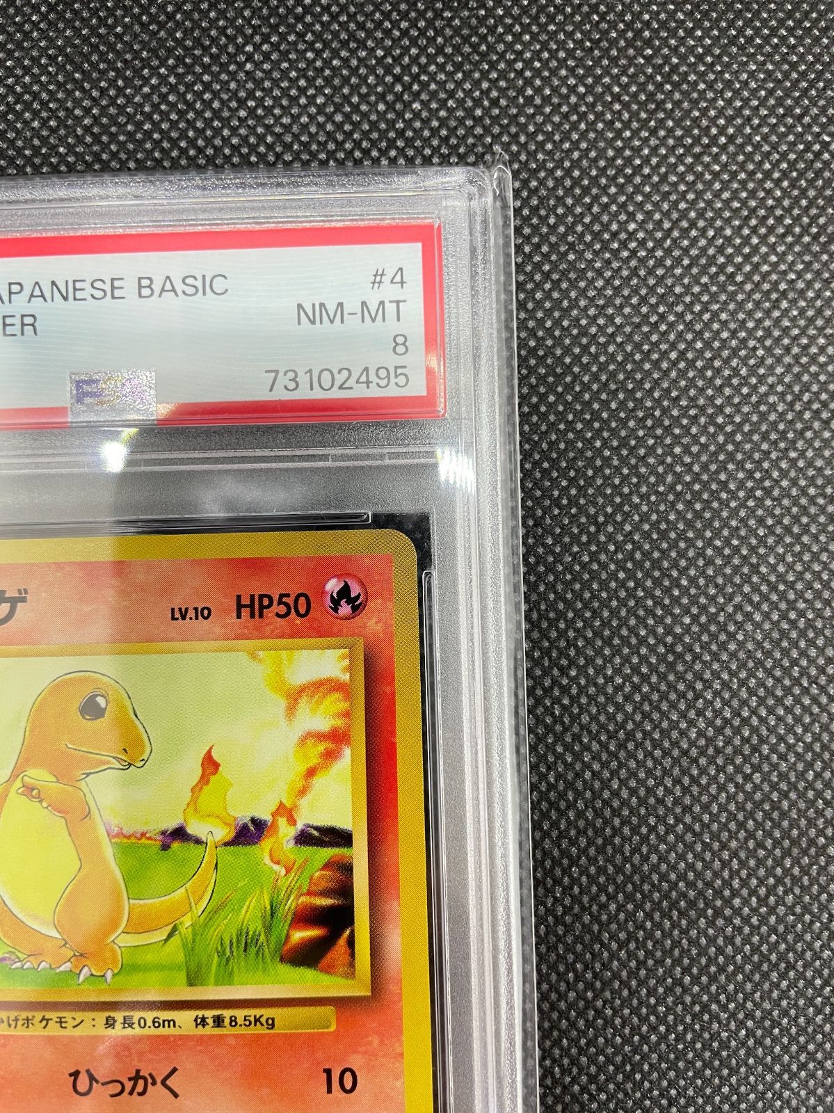 PSA8】ポケモンカード 旧裏面 ヒトカゲ LV.10 ポケカ 拡張パック