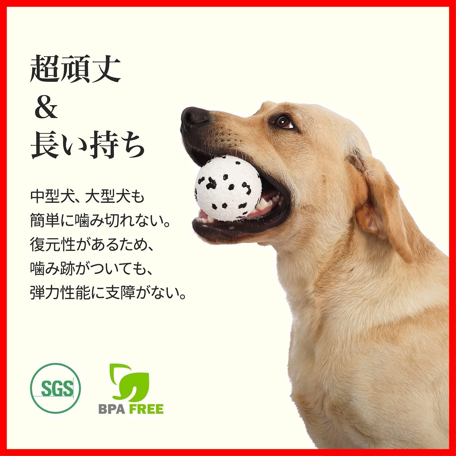 2枚セット