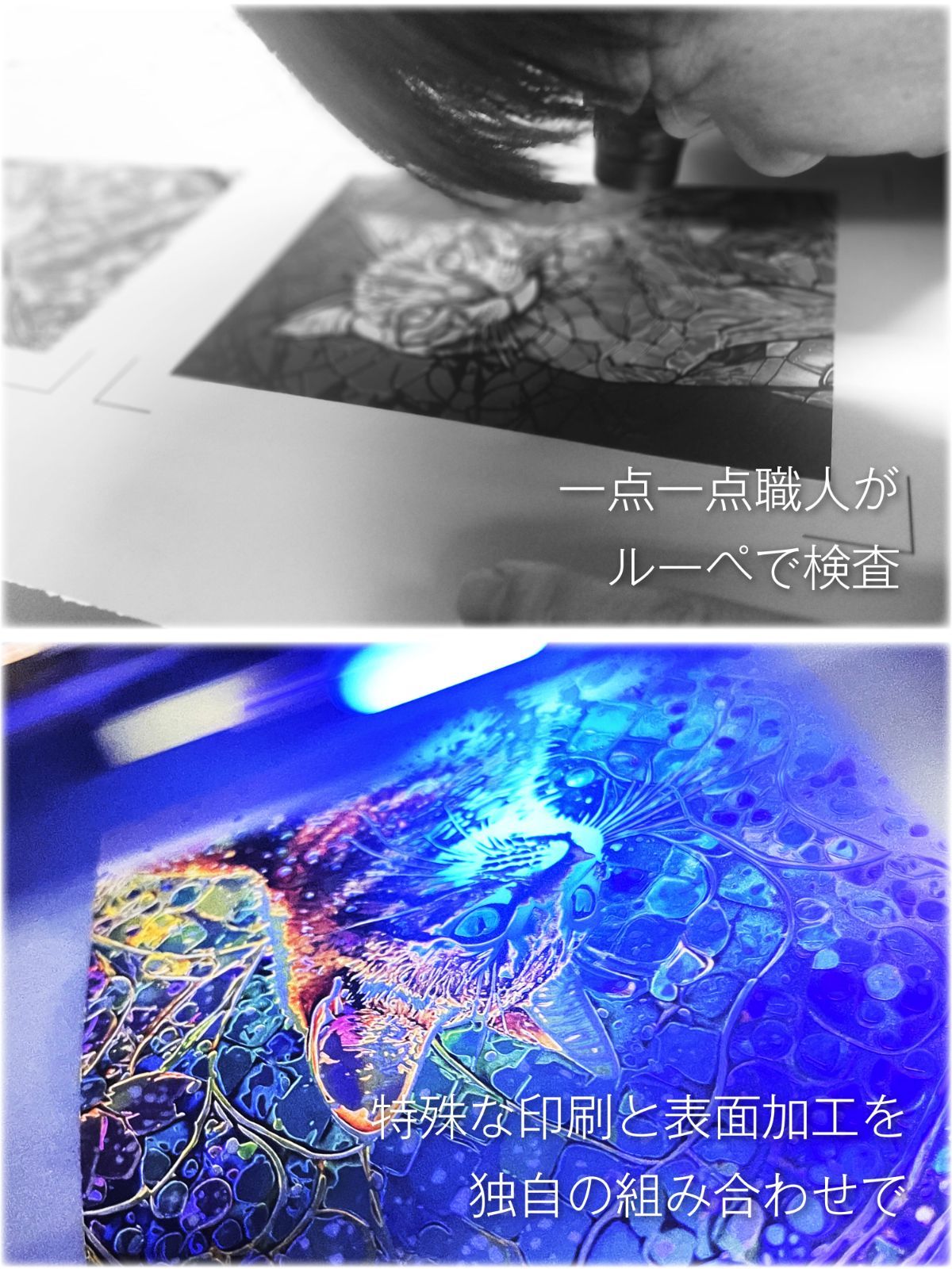 Stained Gloss 03：ピクシーボブ【インチ額】／特殊印刷　額装付き　猫　ネコ　インテリア　グラフィックアート