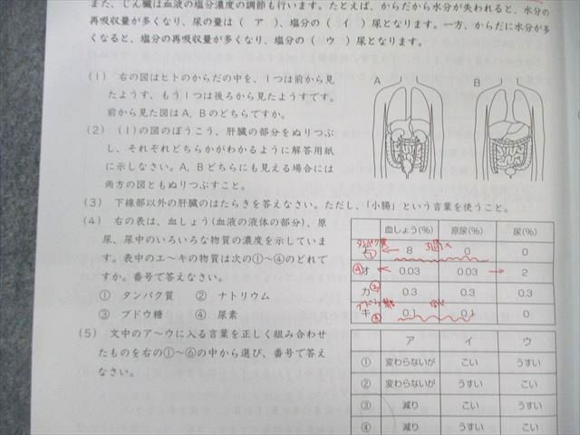 SAPIX 小6 サピックス SS特訓 理科 【計17回分】 2023 ☆ 034M2D SAPIX 小6 サピックス SS特訓 理科 【計17回分】 2023 ☆ 034M2D