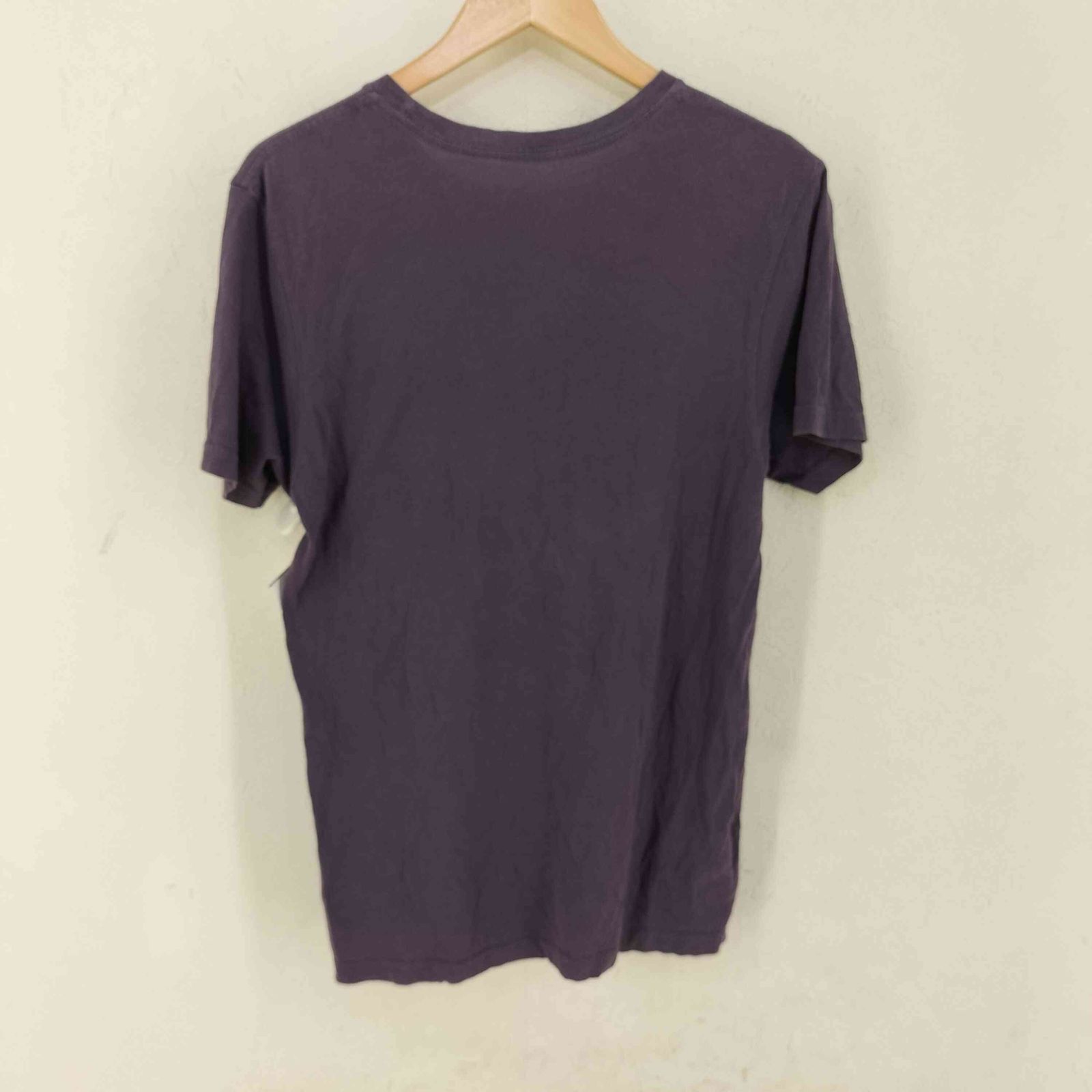 patagonia acシャツ JAVA FISH Lサイズ パタゴニア patagonia Flying Fish Organic T-Shirt メンズ