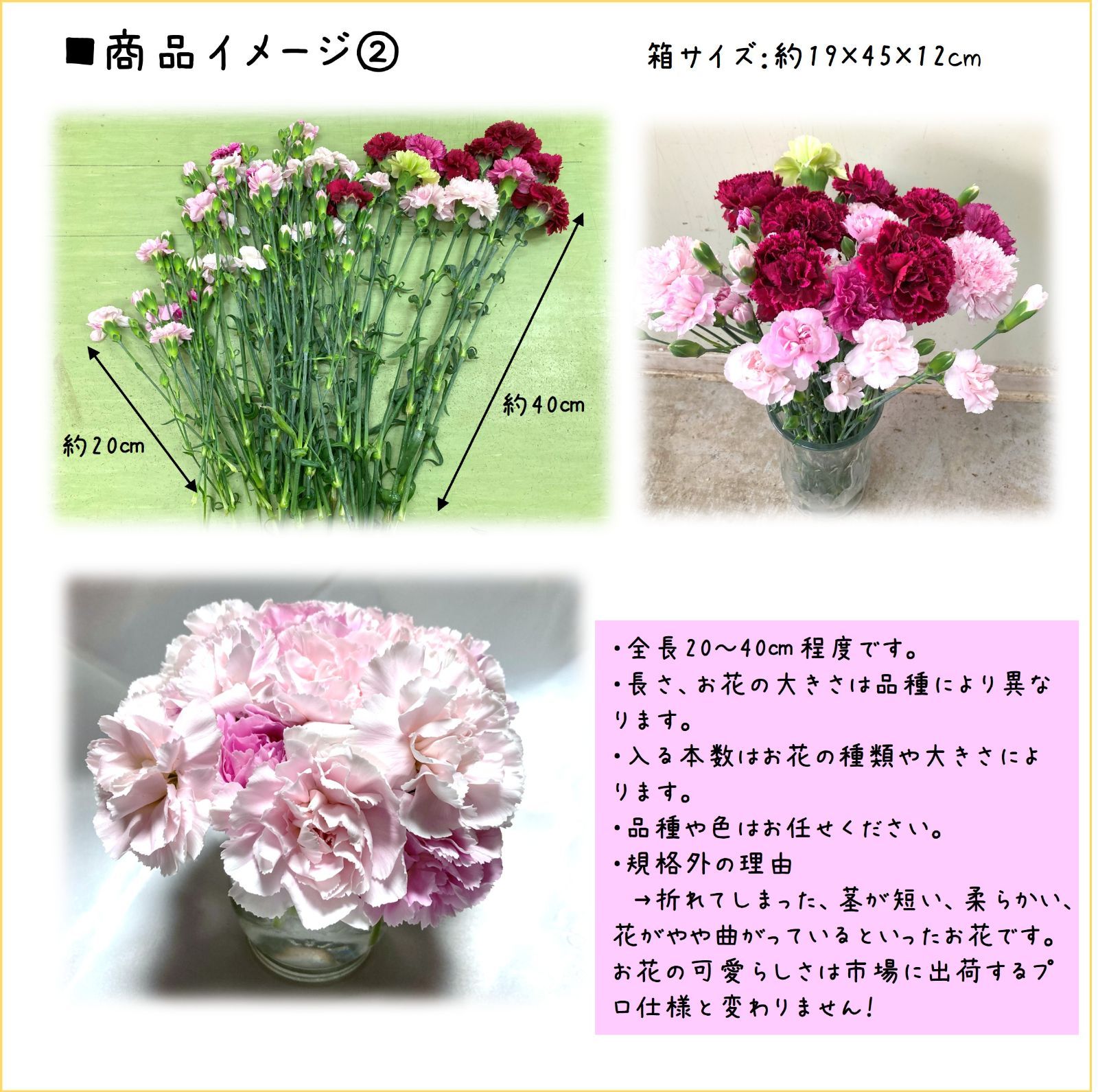 ☆2025準備中☆カーネーション 規格外品 品種MIX 80サイズ箱