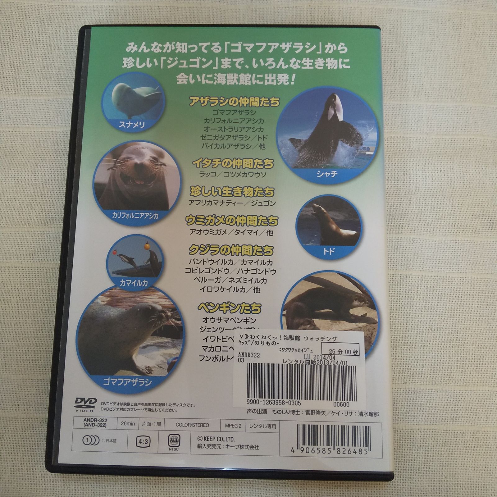 わくわくっ！ 海獣館ウオッチング レンタル専用 中古 DVD ケース