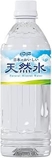 ダイドー 日本のおいしい天然水 500mlペットボトル×24本入× 2ケース