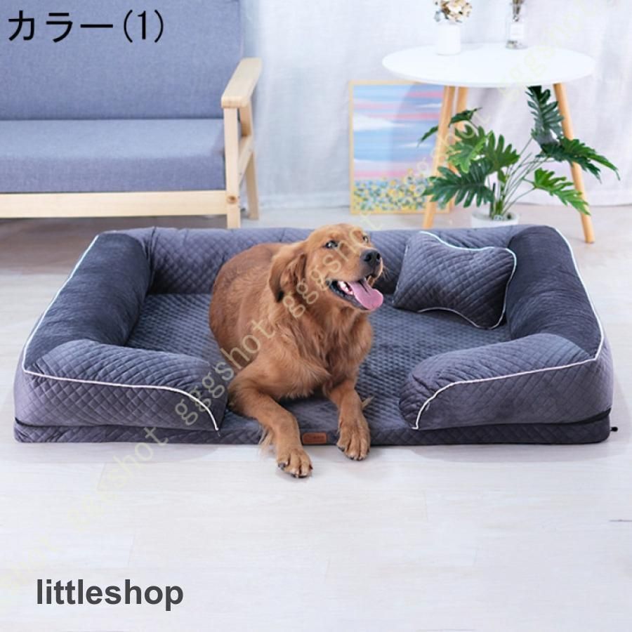 シニア 老犬