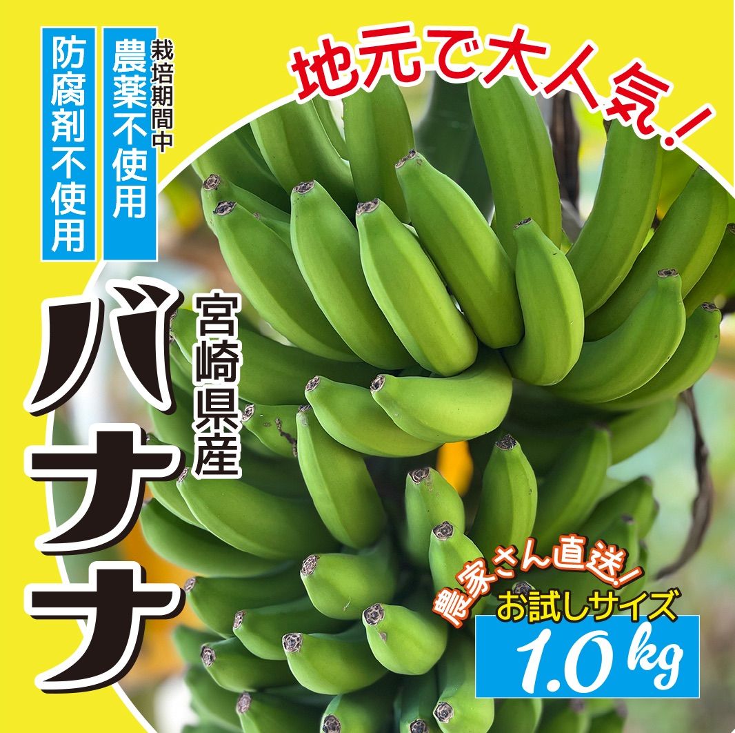 8月中〜下旬】バナナ 約1.0kg 防腐剤不使用 国産 宮崎県産 産地直送 農家直送 果物 フルーツ 安心安全 トロピカルフルーツ ばなな banana  - メルカリ