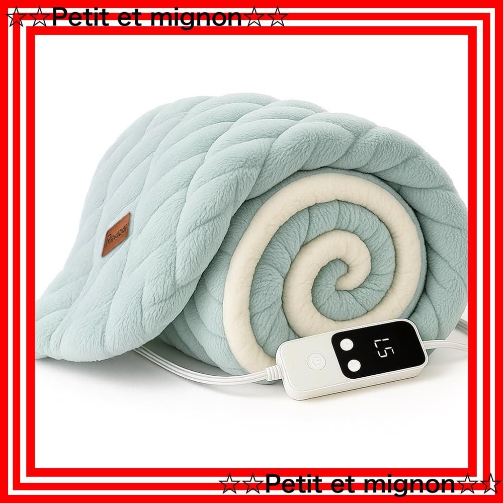 スピード発送 DRMTYGG001 ダニ退治 PSE認証済 170*130cm ふわふわ ポリエステル 掛け 敷布団両用 丸洗い 洗濯機|手洗い対応 ライトグリーン 省エネ 切タイマー 5段温度調節 厚手保温 超滑らか触感 電気ブランケット ひざ掛