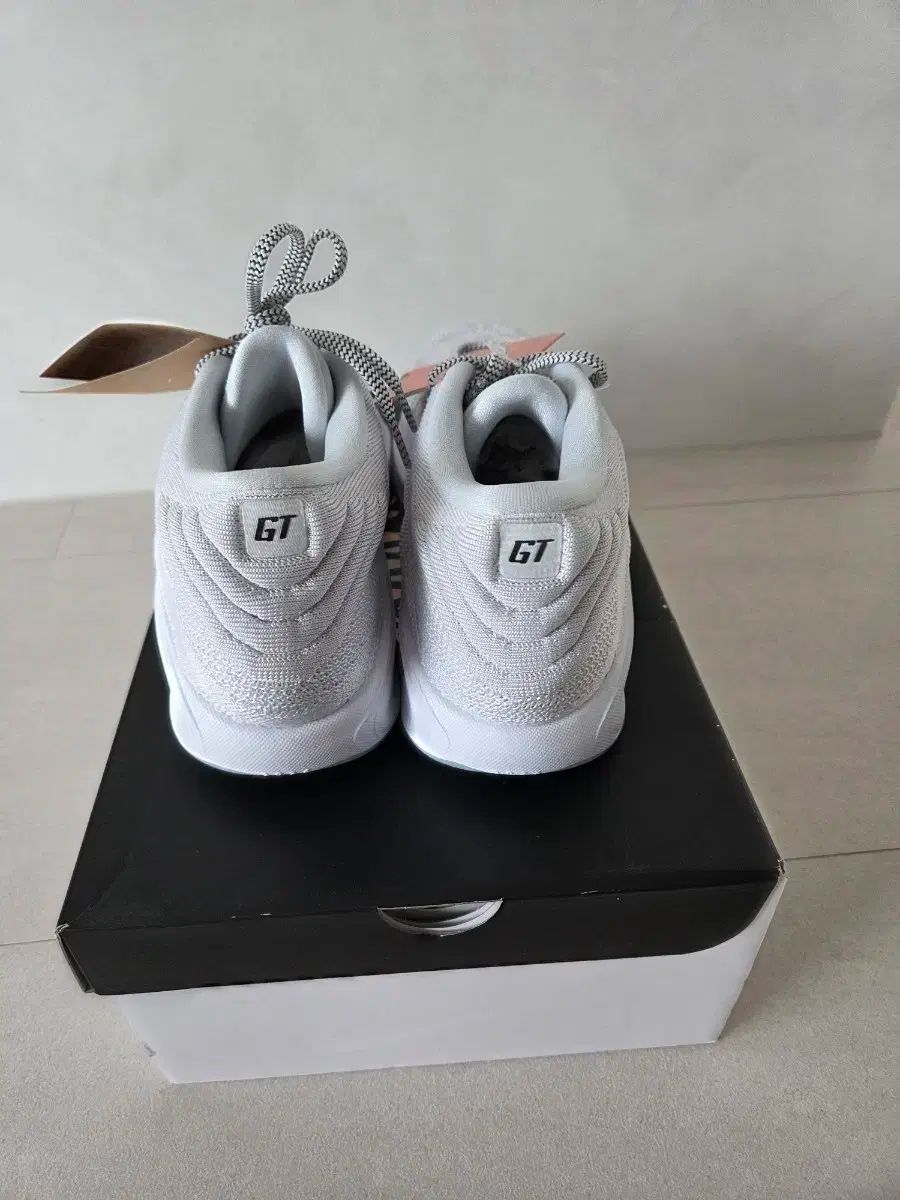 ハッスル 3 300 28.5cm ナイキ GT ハッスル 3 PB EP HJ7677-900 30cm