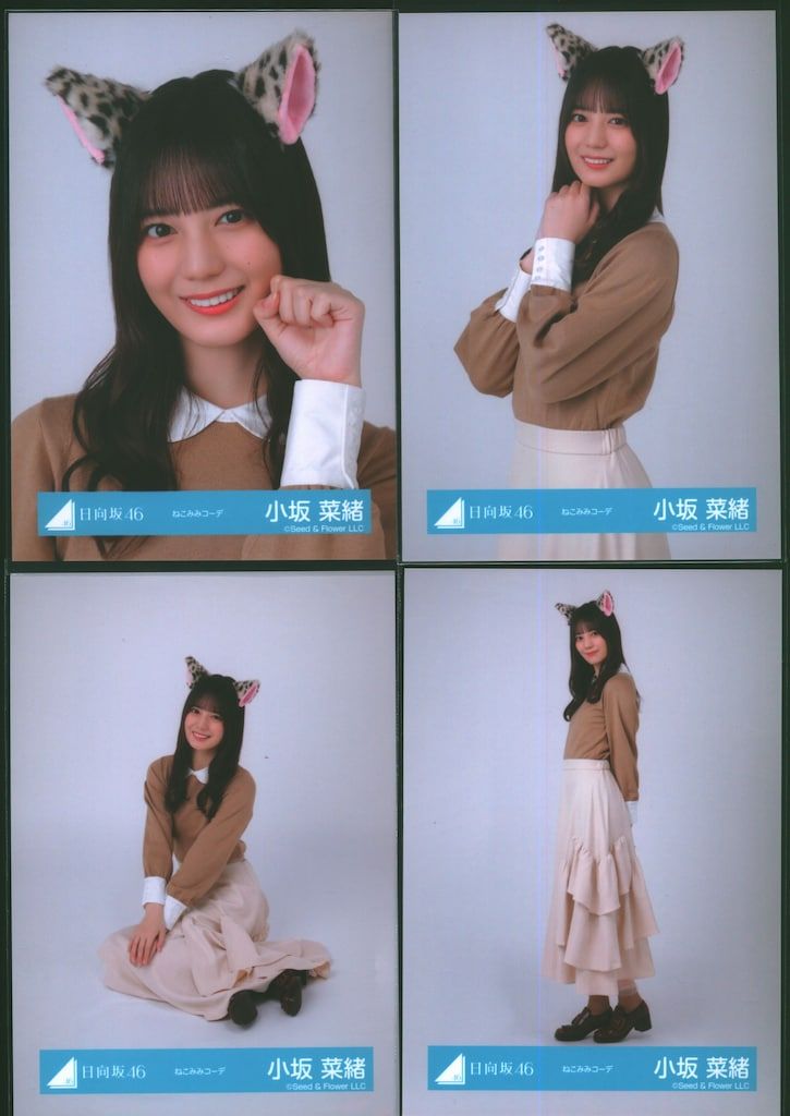 日向坂46 Happy Magical Tour 2024 in TOKYO DOME 小坂菜緒 ねこみみコーデ コンプ