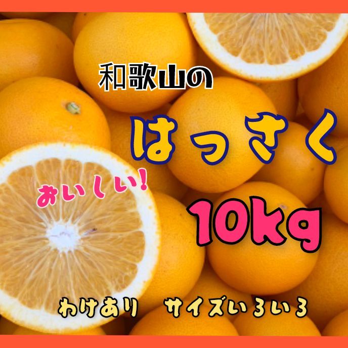 和歌山 有田 はっさく 訳あり 10kg 八朔 - メルカリ