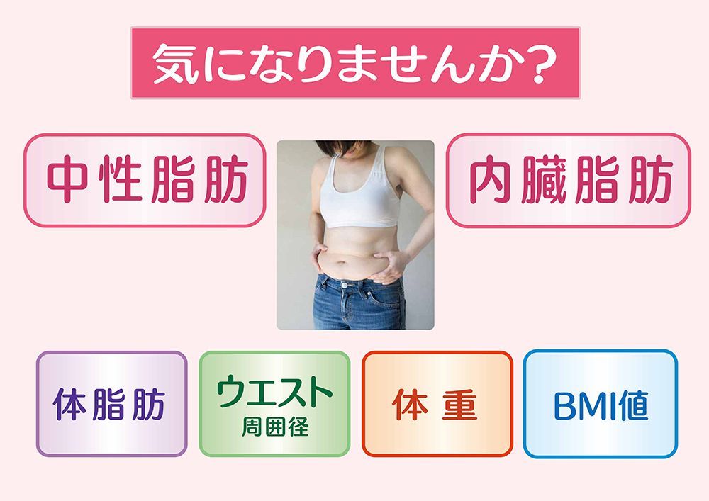 内臓脂肪 BMI値