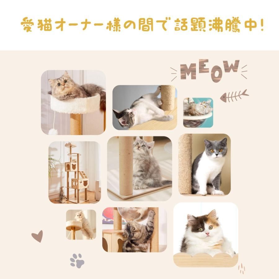 多頭飼い 爪とぎ