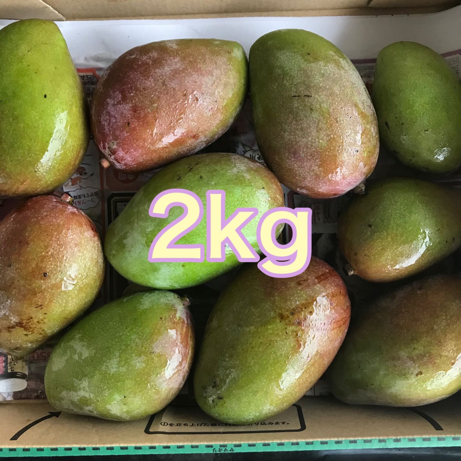 摘果マンゴー　グリーンマンゴー　15kg 沖縄県産 摘果マンゴー 青マンゴー グリーンマンゴー - メルカリ