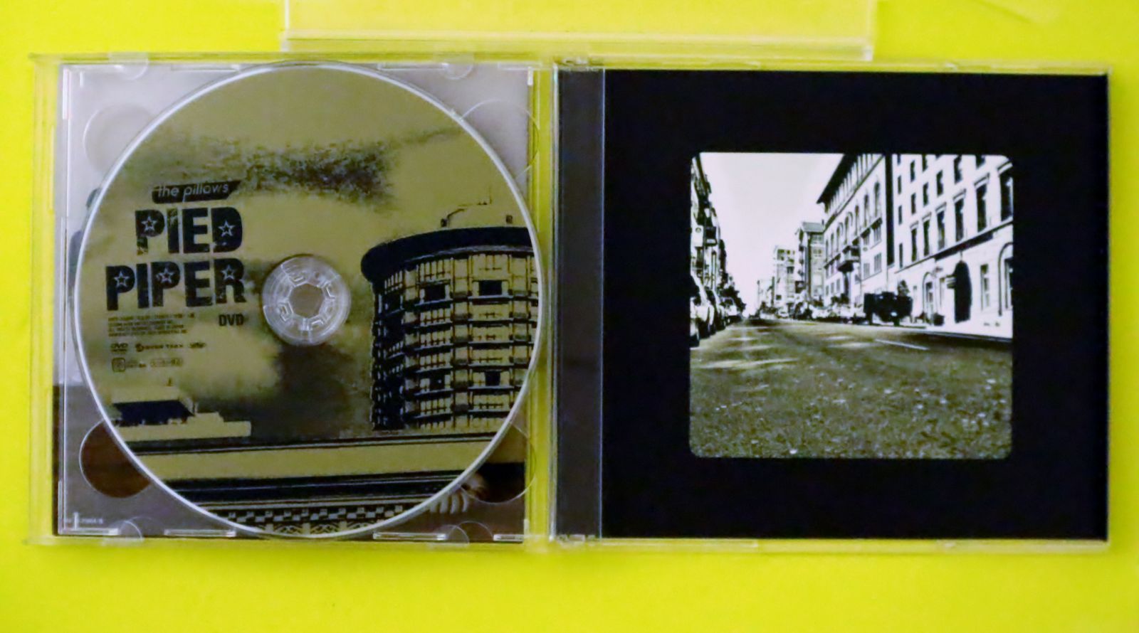 国内盤CD☆ザ・ピロウズ/the pillows□ PIED PIPER