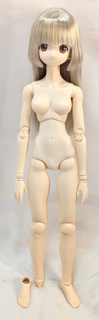 アゾン Black Ravenシリーズ ルルナ ディスカウント Moonlit Raven