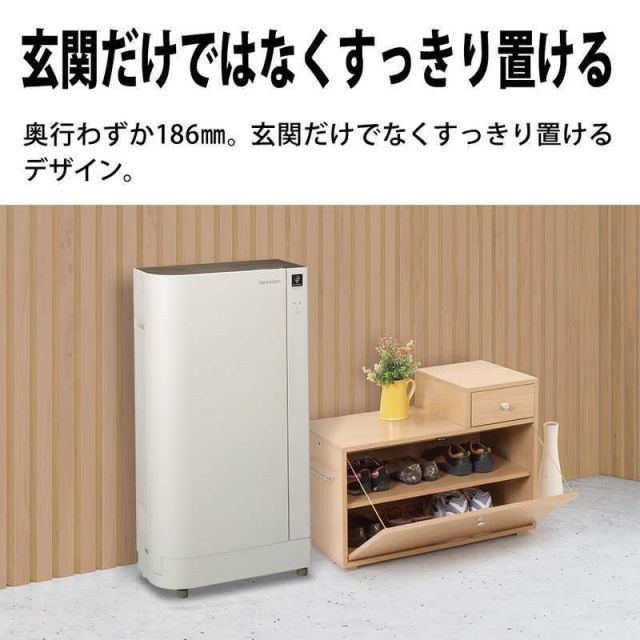 プラズマクラスター DY-B01-W