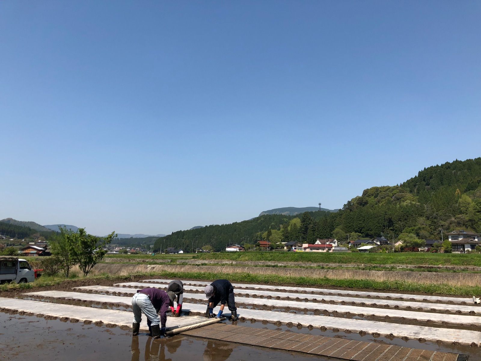送料無料】令和7年産つや姫20㎏大分県玖珠産- メルカリ