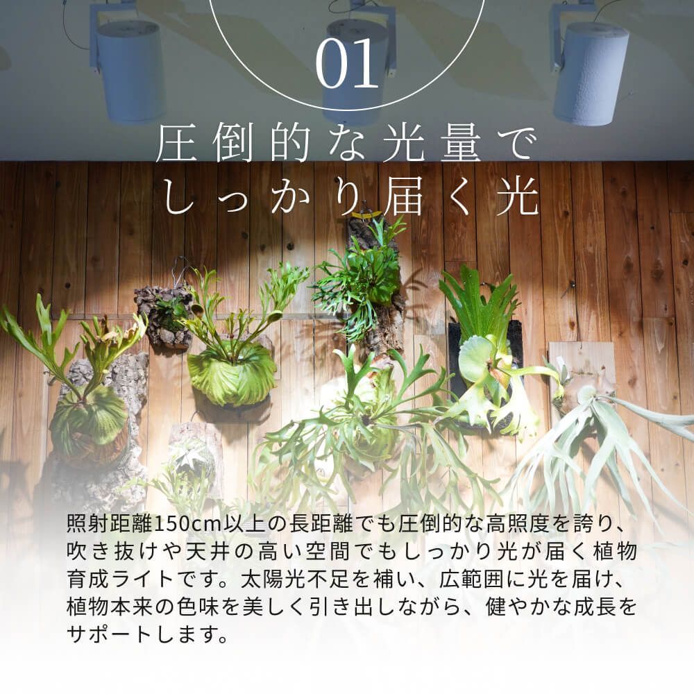 BARREL HADES LED 45W スポット型 調光 タイマー 空間演出の映える光 植物育成LED