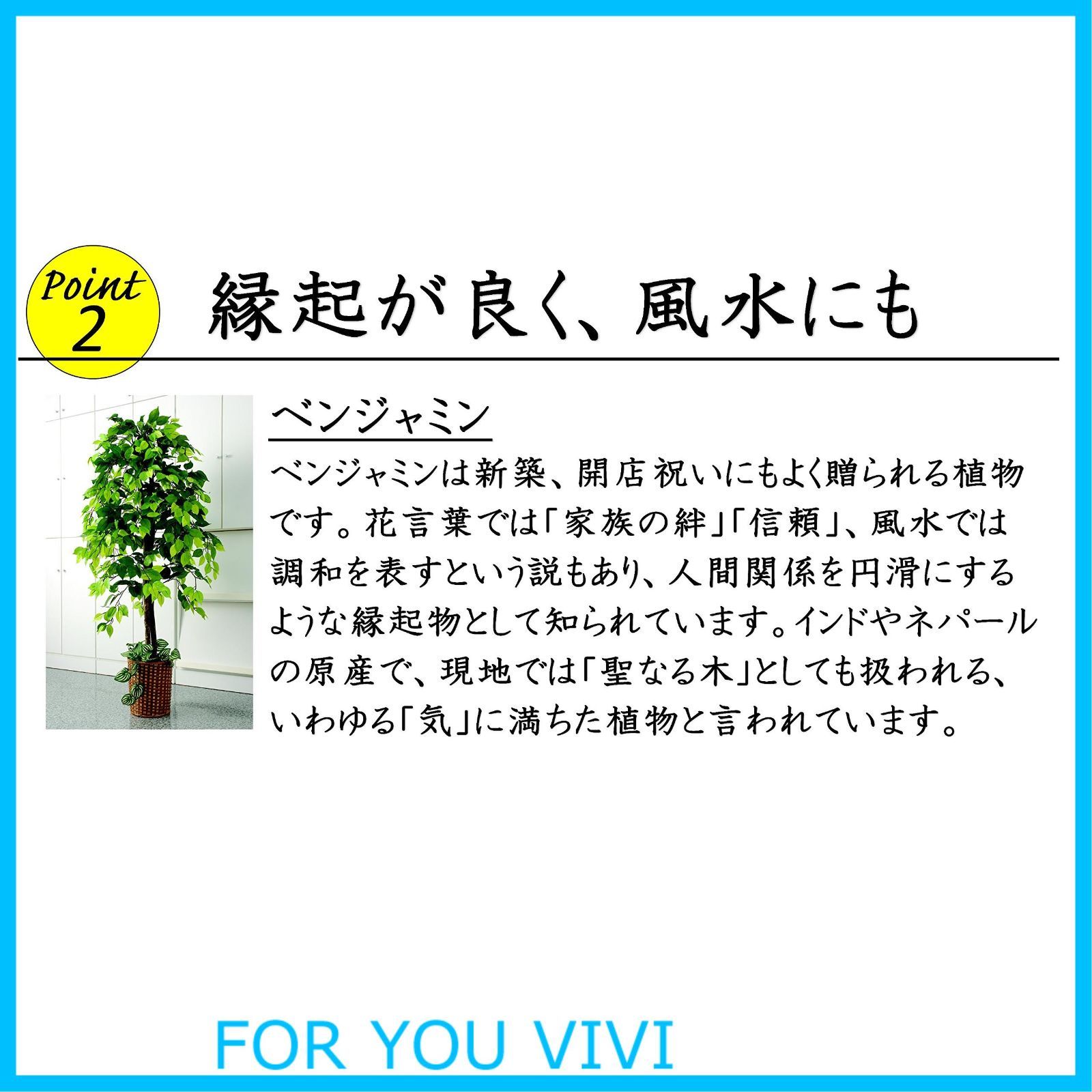 竹カゴ付き 鉢付き