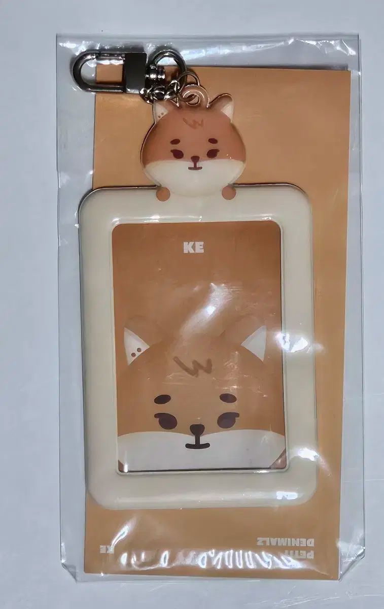 DAY6 ヨンケイ トレカホルダー DAY6(デイシックス) プティ・メルツ ID