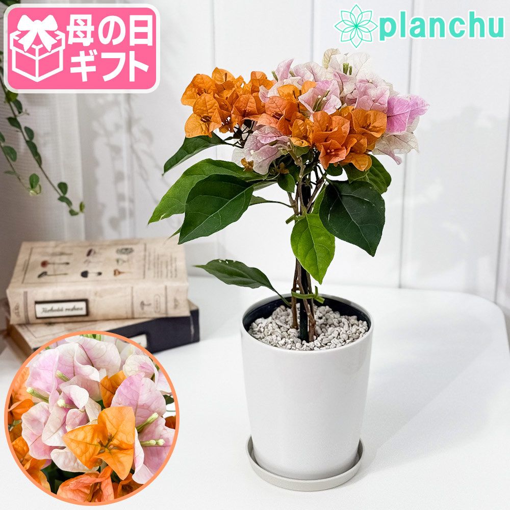 SONY MZ-R50 ポータブルMDレコーダー マライアキャリーMD、新MD